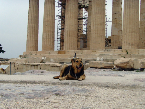 Zwiedzamy Ateny, Akropol #ateny #grecja #akropol