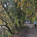 Spacer jesienny nad jeziorem Rusałka w Poznaniu