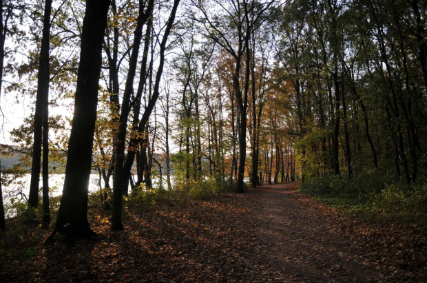 Spacer jesienny nad jeziorem Rusałka w Poznaniu
