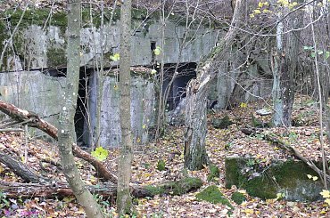 #SchronPiechoty #wierciejki