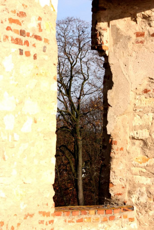 widoczek z "okna" w ruinach zamku w Janowcu...