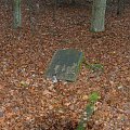 Trzonki - cmentarz wiejski #Trzonki