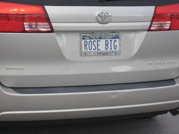 ROSE BIG