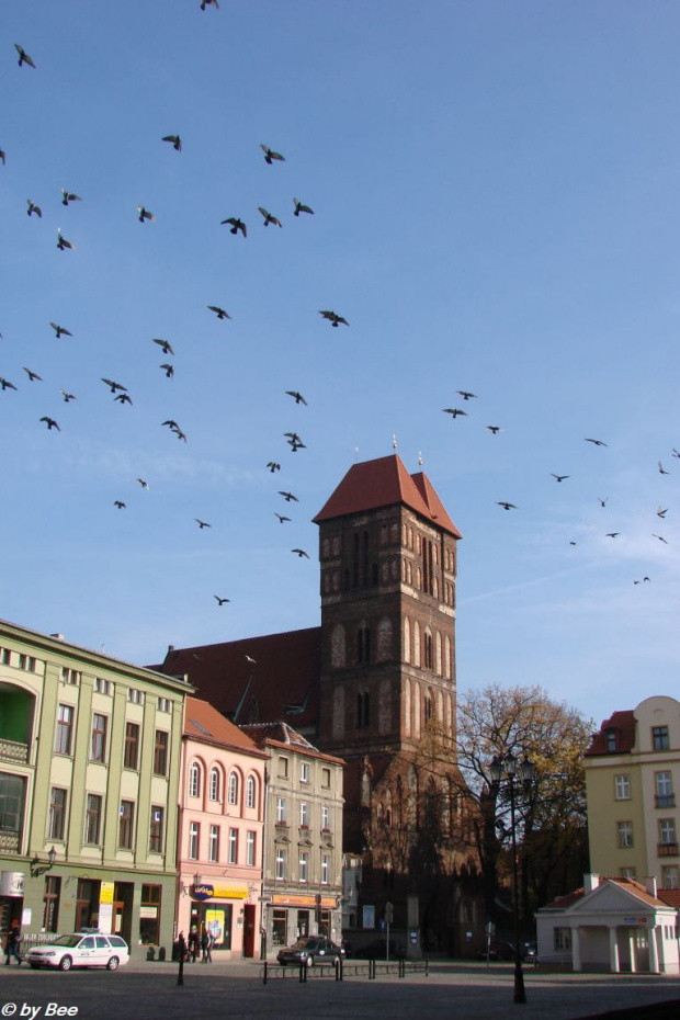 Kościół św. Jakuba w Toruniu #kościoły #Toruń #zwiedzanie #wycieczki