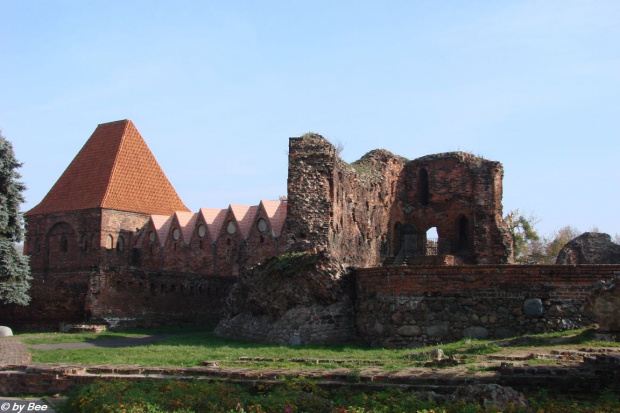 Ruiny Zamku Krzyżackiego w Toruniu #Toruń #zamki #zwiedzanie #wycieczki