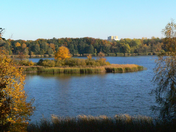 Jezioro Swarzędzkie ok. Poznania.
Swarzędzkie Lake near Poznań.