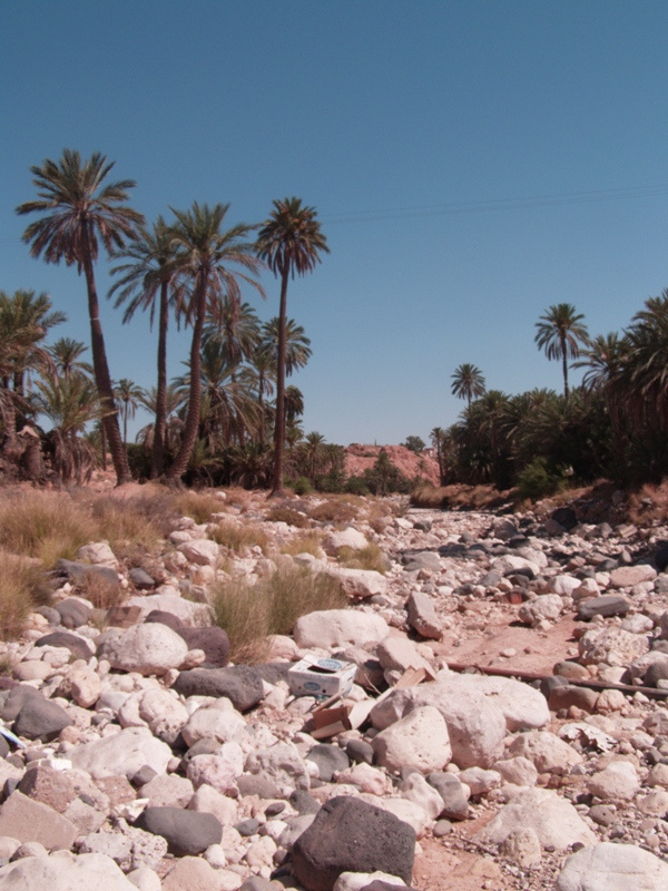 Okolice Gharyanu. Wadi (koryto rzeczne) - czekan na opady by wybrać się tu jeszcze raz