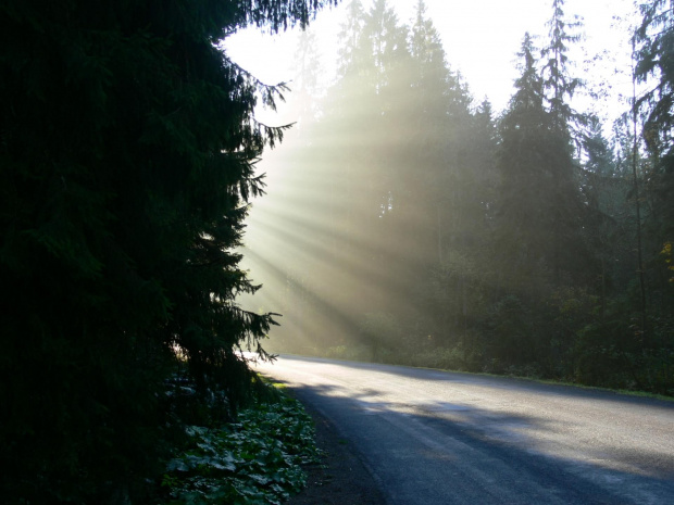 Promienie słońca.
Sunbeams.