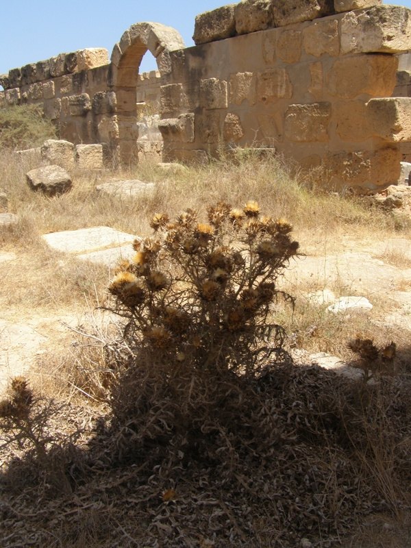 Leptis Magna