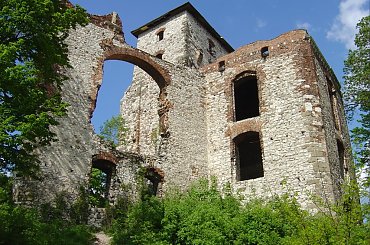 Ruiny zameku Tęczyn (Tenczyn) w Rudnie #Ruiny #zamek #Tęczyn #Rudno #Polska #wies