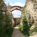 Ruiny zamku Tęczyn (Tenczyn) w Rudnie #Polska #Zamek #Runiy #Tęczyn #Rudno #Wieś