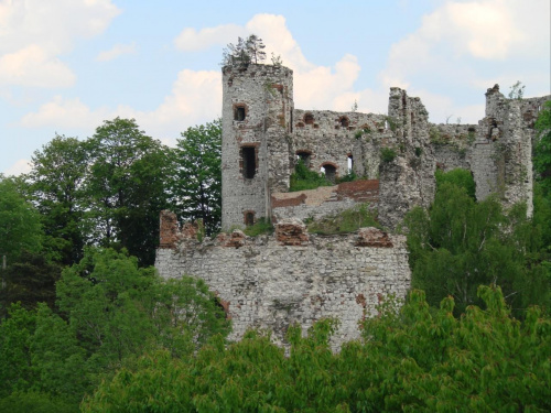 Ruiny zamku Tęczyn (Tenczyn) w Rudnie #Polska #Zamek #Runiy #Tęczyn #Rudno #Wieś