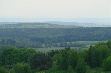 Ruiny zameku Tęczyn (Tenczyn) w Rudnie #Ruiny #zamek #Tęczyn #Rudno #Polska #wies