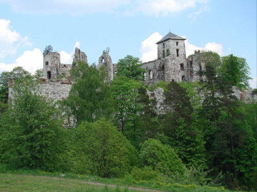 Ruiny zamku Tęczyn (Tenczyn) w Rudnie #Polska #Zamek #Runiy #Tęczyn #Rudno #Wieś