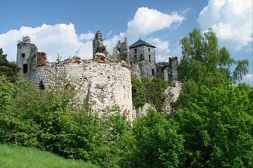 Ruiny zameku Tęczyn (Tenczyn) w Rudnie #Ruiny #zamek #Tęczyn #Rudno #Polska #wies
