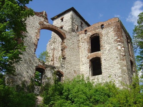 Ruiny zamku Tęczyn (Tenczyn) w Rudnie #Polska #Zamek #Runiy #Tęczyn #Rudno #Wieś