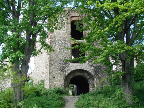 Ruiny zamku Tęczyn (Tenczyn) w Rudnie #Polska #Zamek #Runiy #Tęczyn #Rudno #Wieś