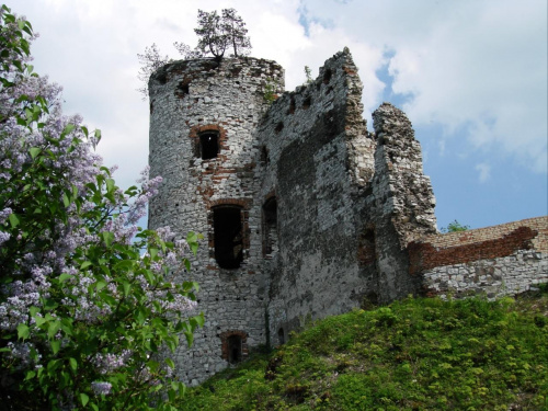 Ruiny zamku Tęczyn (Tenczyn) w Rudnie #Polska #Zamek #Runiy #Tęczyn #Rudno #Wieś