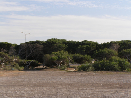 Droga Trypolis - Leptis Magna