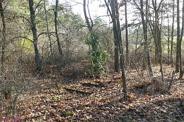 Chmielewo - cmentarz wiejski #Chmielewo