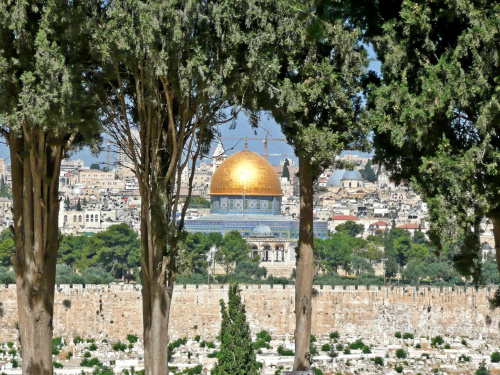 Dominus Flevi . W tym miejscu Jezus zapłakał nad losami Jerozolimy. Panorama wzgórza świątynnego, murów i cmentarza w dolinie Jozafata. (miejsce 30 000 $ )