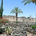 Kafarnau. Tu mieszkał św. Piotr i jakiś czas Jezus..Ruiny miasta i synagogi.