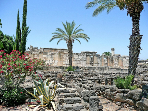 Kafarnau. Tu mieszkał św. Piotr i jakiś czas Jezus..Ruiny miasta i synagogi.