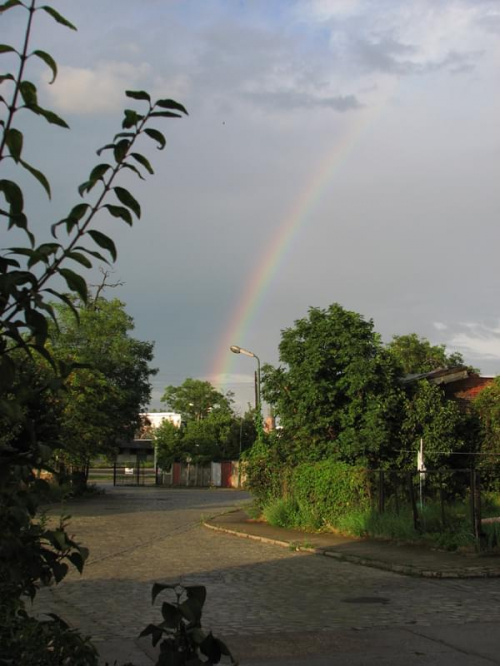 piękna wieczorna tęcza nad deszczowym Wrocławiem