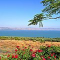 Wzgórze Błogosławieństw. Panorama Jeziora Galilejskiego i Wzgórz Golan.