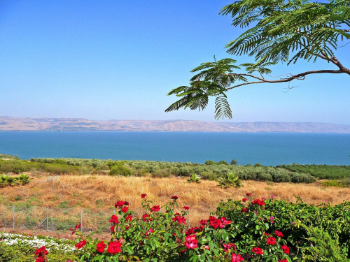 Wzgórze Błogosławieństw. Panorama Jeziora Galilejskiego i Wzgórz Golan.