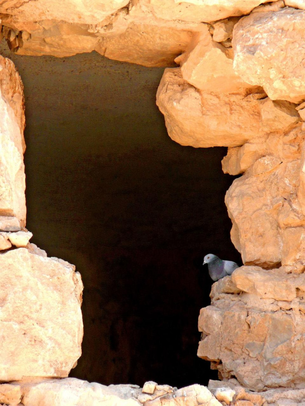 Masada siedziba Króla Heroda wysoko w górach