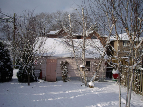 zima
20 listopada 2008