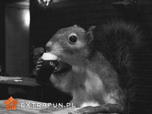 www.extrafun.pl #extrafun