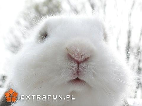 www.extrafun.pl #extrafun