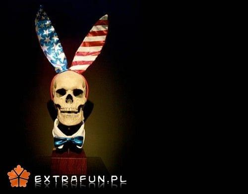 www.extrafun.pl #extrafun