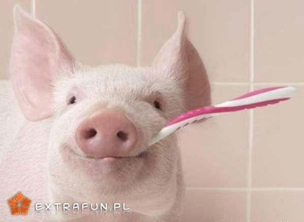 www.extrafun.pl #extrafun