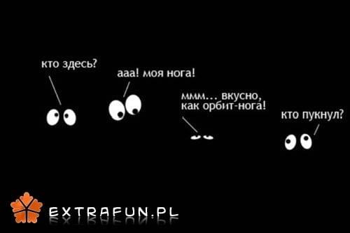 www.extrafun.pl #extrafun