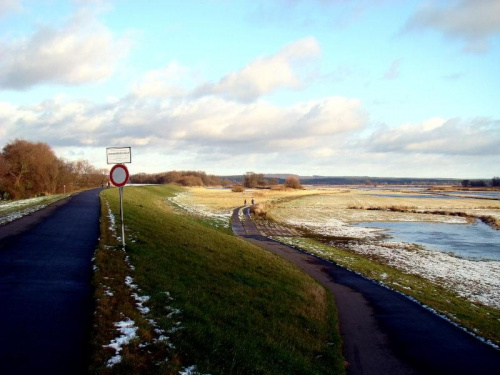 nastepne widoki ze sciezki rowerowej w Schwedt........ #miedzyodrze #zima #Schwedt