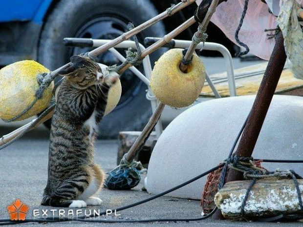 www.extrafun.pl #extrafun