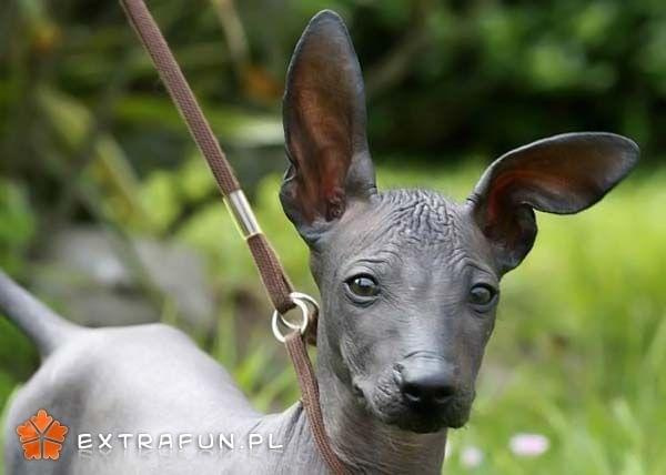 www.extrafun.pl #extrafun