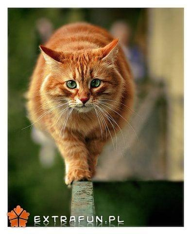 www.extrafun.pl #extrafun