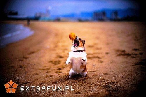 www.extrafun.pl #extrafun