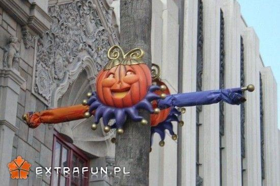 www.extrafun.pl #extrafun