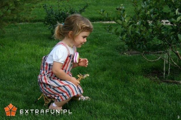 www.extrafun.pl #extrafun