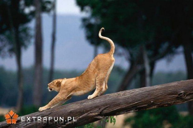 www.extrafun.pl #extrafun