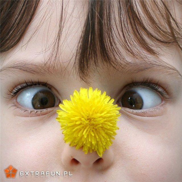 www.extrafun.pl #extrafun