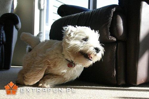 www.extrafun.pl #extrafun