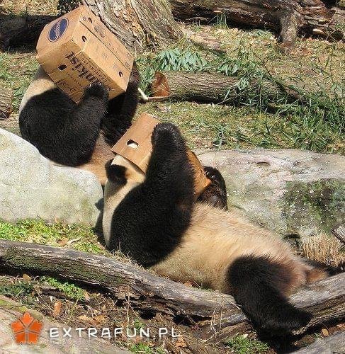www.extrafun.pl #extrafun