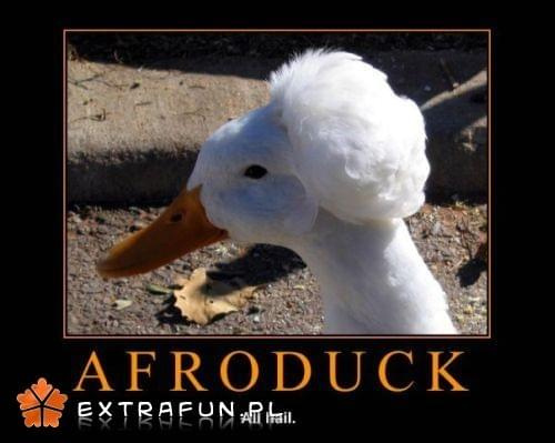 www.extrafun.pl #extrafun