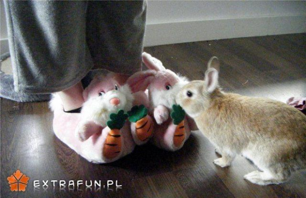 www.extrafun.pl #extrafun